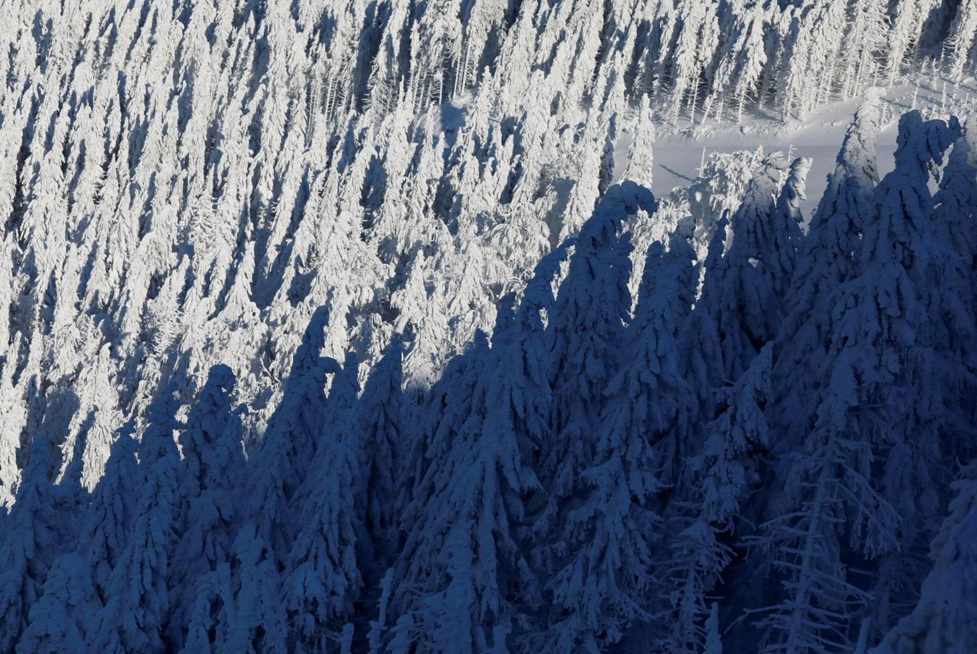 Chalet Alpinka Cerklje na Gorenjskem Eksteriør bilde