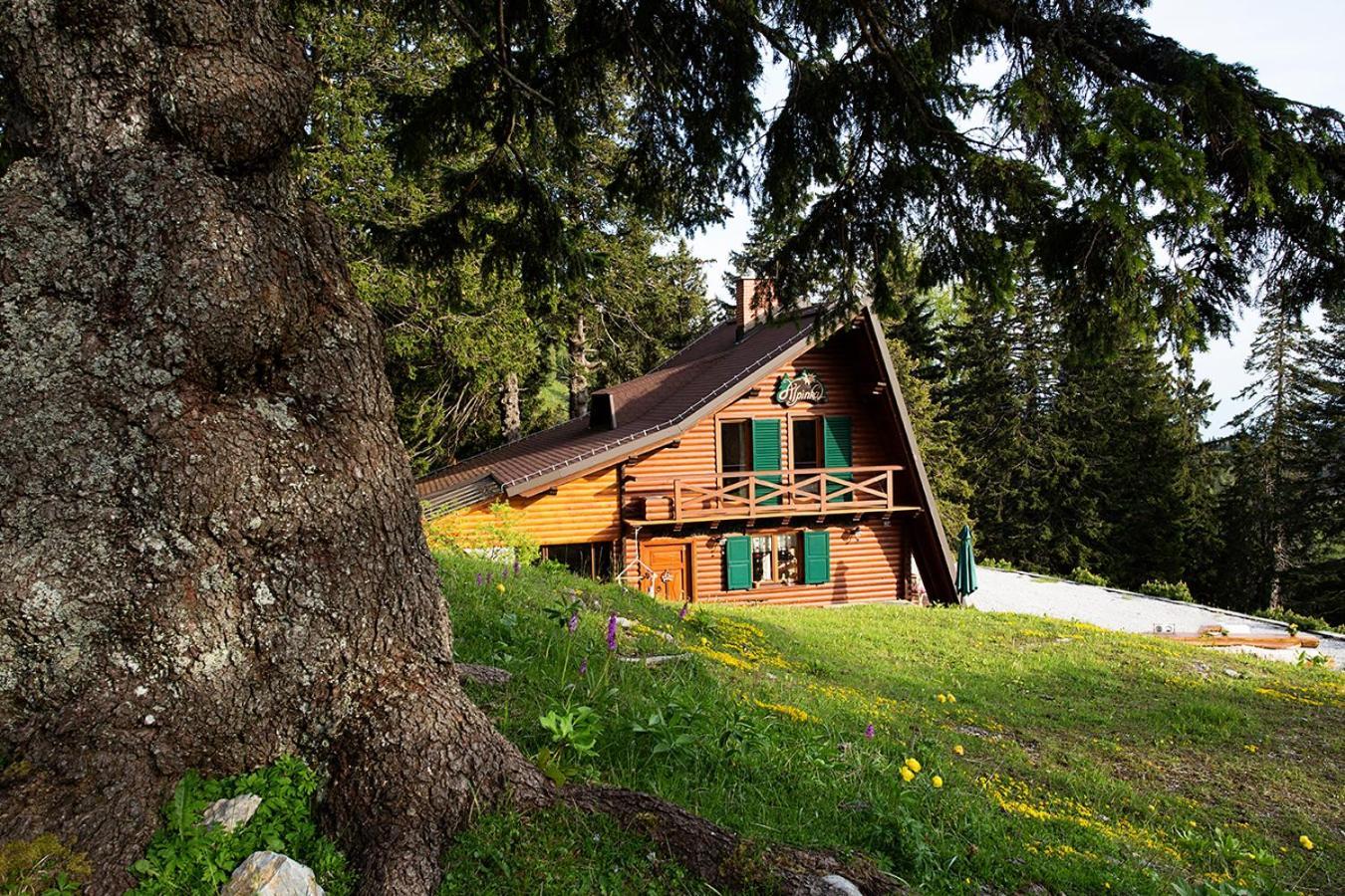Chalet Alpinka Cerklje na Gorenjskem Eksteriør bilde